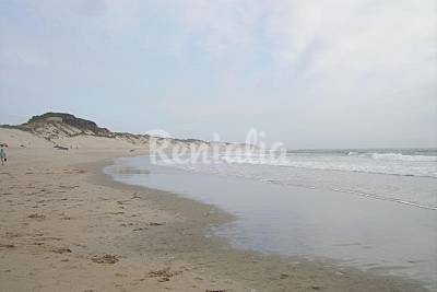 Apartamentos oporto playa