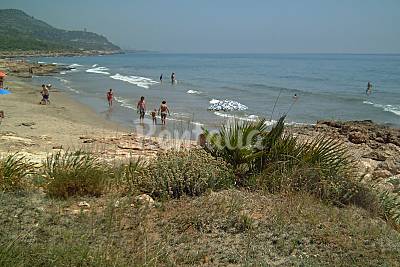 rencontre gay palma de majorque