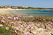 House with 3 bedrooms only 900 meters from the beach Algarve-Faro