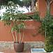 Casa Jardín Cádiz Chiclana de la Frontera Casa
