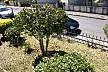 Apartment for rent in mountain environment Viana do Castelo