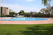 Jardín privado con acceso directo piscina  Ibiza