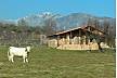 7 Country Apartments for 2-29 people with swimming pool Cáceres