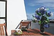 7 Apartments with 2 bedrooms each one 5 km from the beach Isle of São Miguel