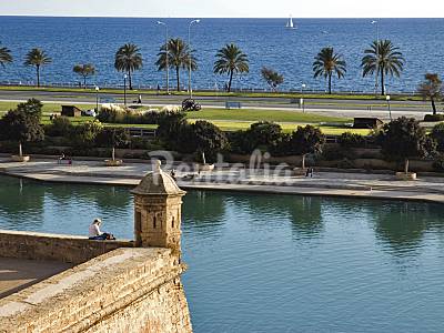 Apartamento Alrededores Mallorca Palma de Mallorca Apartamento