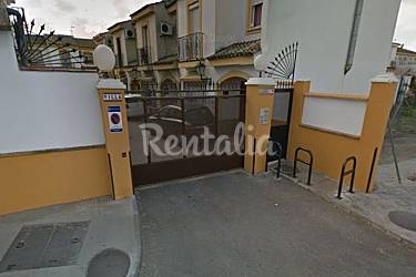 Noche dominatriz pequeña cerca de Jerez de la Frontera Noche dominatriz pequeña cerca de Jerez de la Frontera