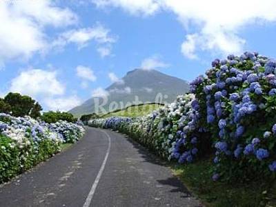 Economic Environment Isle of Pico Madalena House