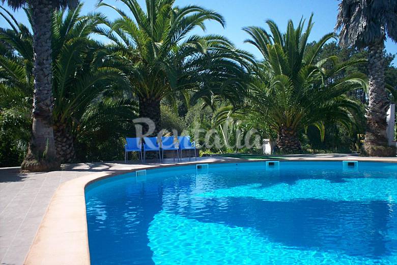 Beco Tropical Monte Redondo (Leiria Leiria) Costa de Prata