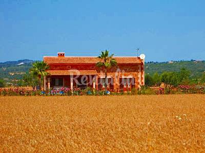 Villa Exterior del aloj. Mallorca Campos Villa