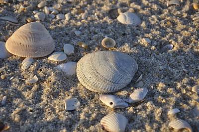 Praia de São Jacinto