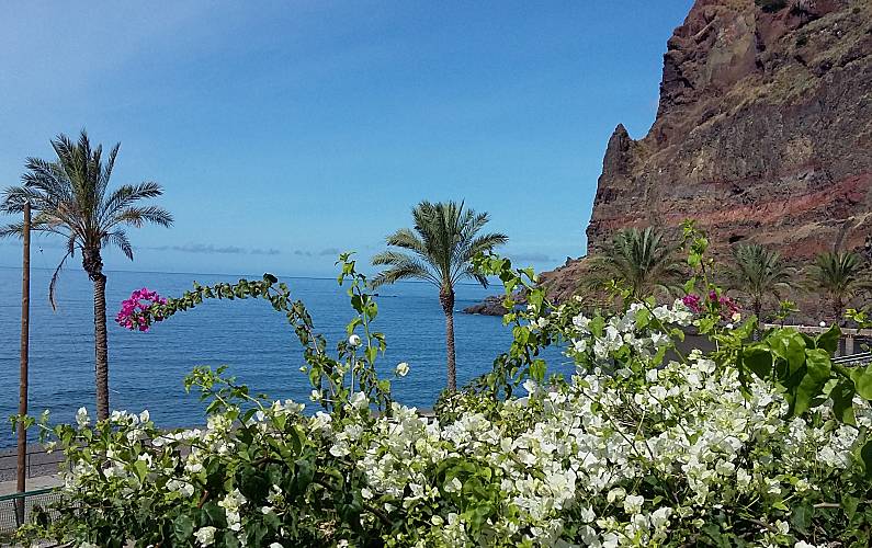 Apartamento Arredores Ilha da Madeira Ponta do Sol Apartamento - Arredores