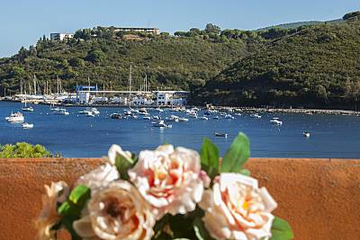 Isola d'Elba - Monolocale con terrazza vista mare Livorno