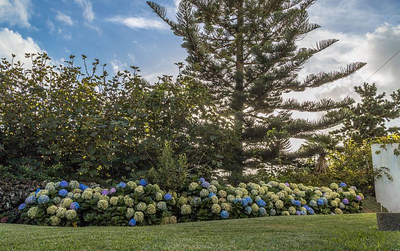 Porto Jardim Ilha Terceira Vila da Praia da Vitória Apartamento - Jardim