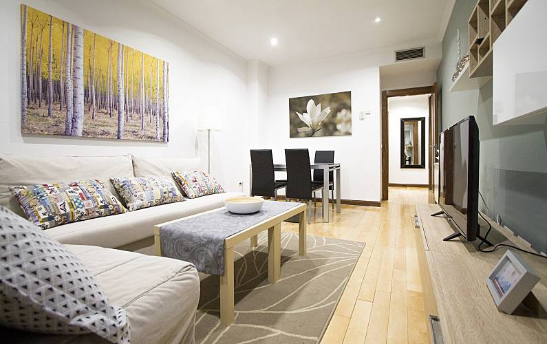 16 Sala Madrid Madrid Apartamento - Sala