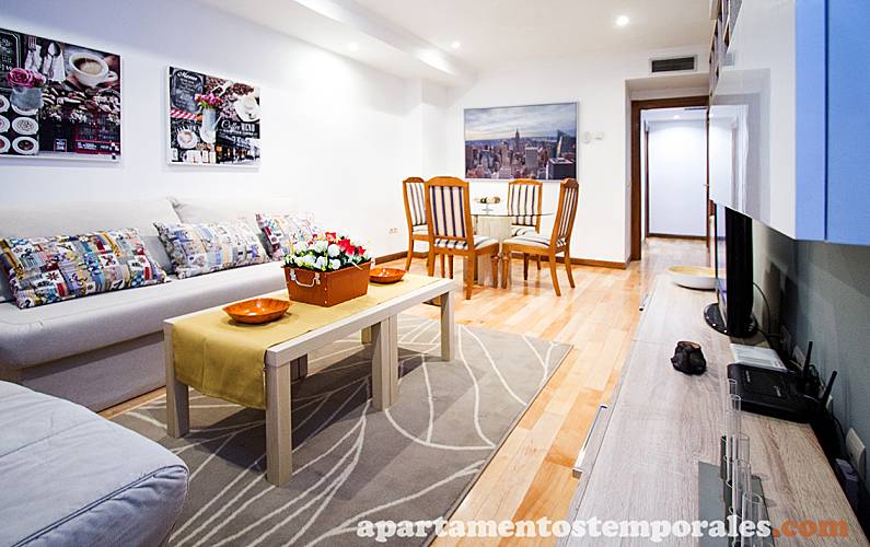 16 Sala Madrid Madrid Apartamento - Sala