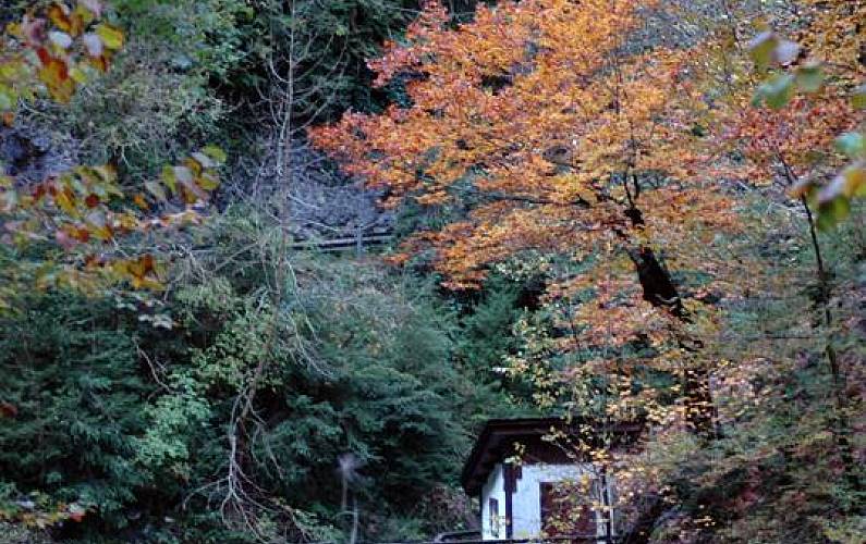 Casas Arredores Huesca Puértolas Casa rural - Arredores