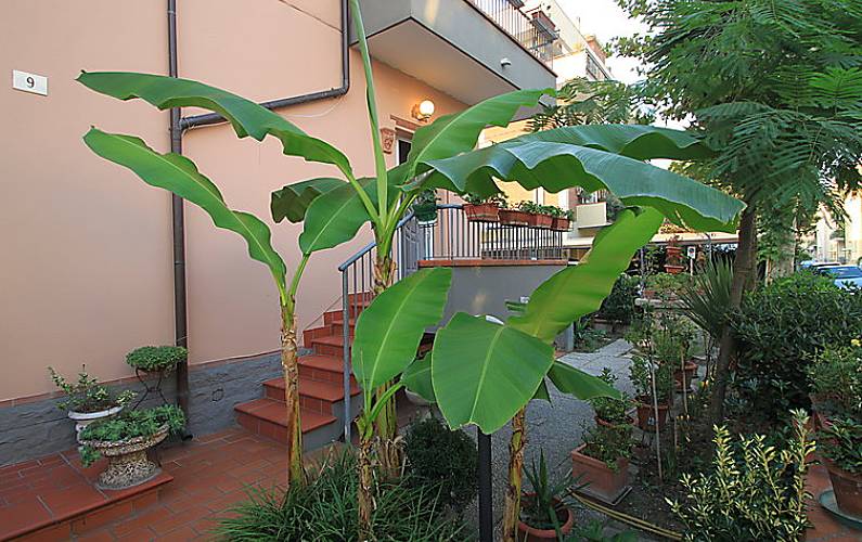 Apartamento para 4 pessoas a 1000 m da praia Rimini - 