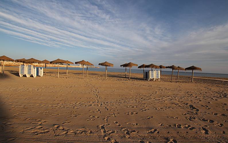 Appartement Alicante Torrevieja Appartement - 