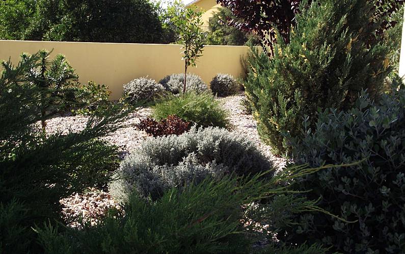House Garden Leiria Leiria Cottage - Garden