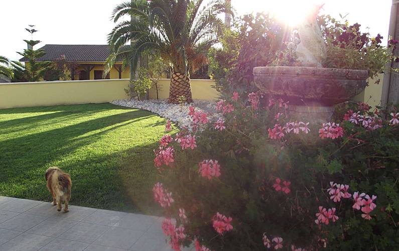 Casa para alugar a 13 km da praia Monte Redondo, Leiria (Leiria