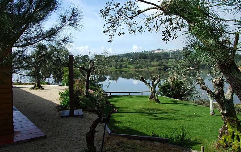 Vivenda Jardim Portalegre Ponte de Sor Villa rural - Jardim