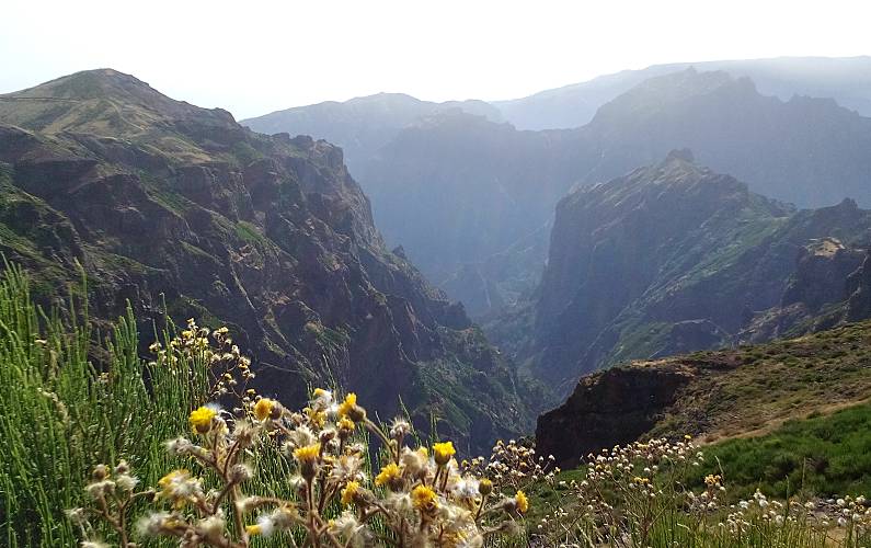 Imaculado Actividades próximas Ilha da Madeira Funchal casa - Actividades próximas