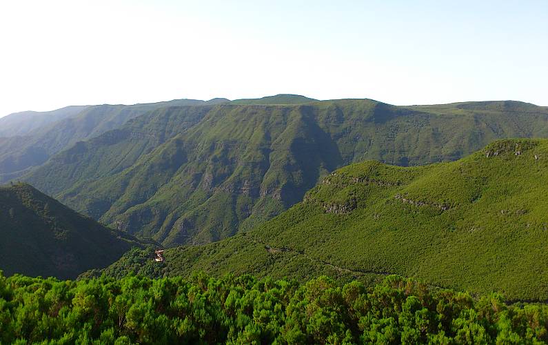Imaculado Ilha da Madeira Funchal casa - 