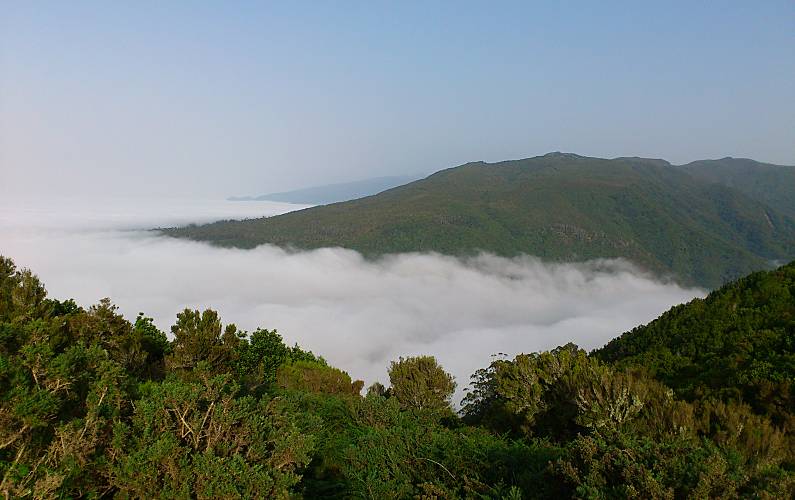 Imaculado Ilha da Madeira Funchal casa - 