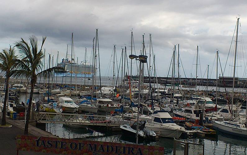 Imaculado Actividades próximas Ilha da Madeira Funchal casa - Actividades próximas