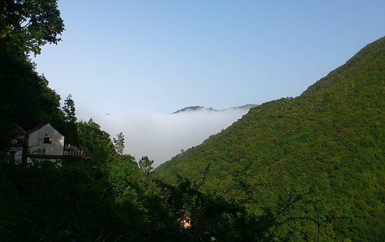 Imaculado Ilha da Madeira Funchal casa - 