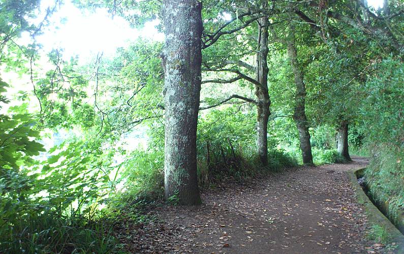 Imaculado Ilha da Madeira Funchal casa - 