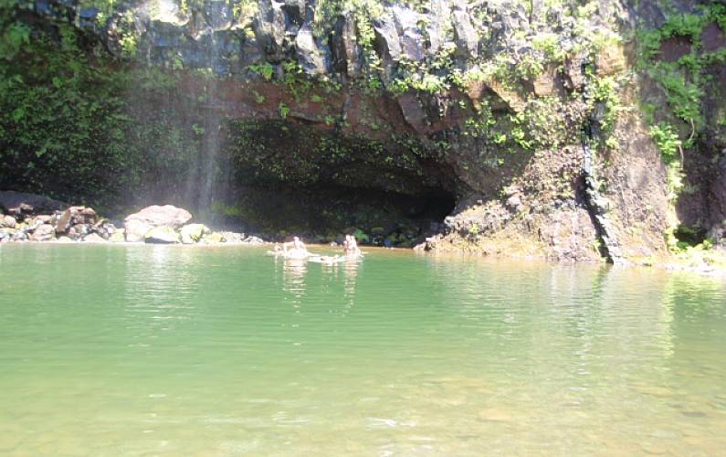 Imaculado Ilha da Madeira Funchal casa - 