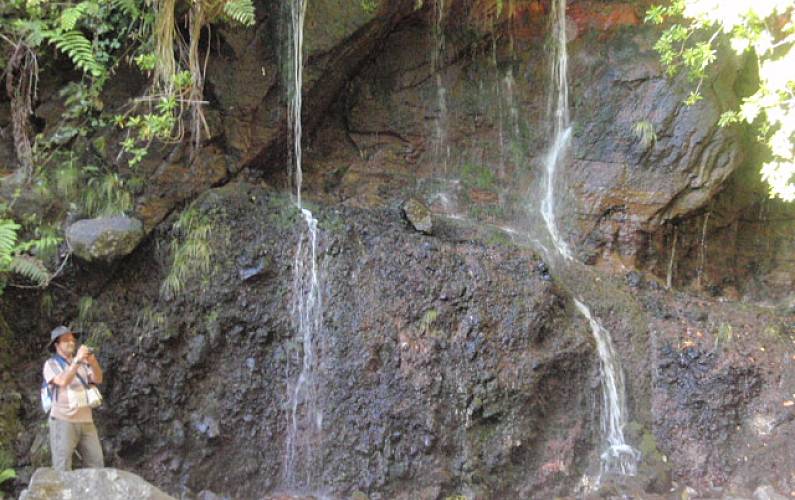 Imaculado Ilha da Madeira Funchal casa - 