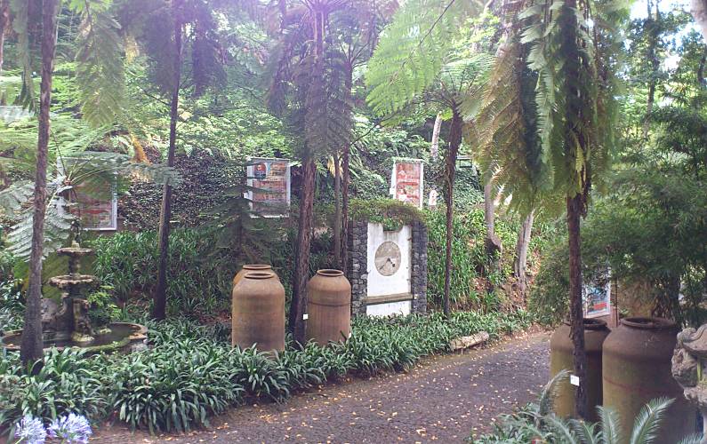 Imaculado Ilha da Madeira Funchal casa - 