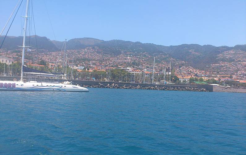 Imaculado Ilha da Madeira Funchal casa - 