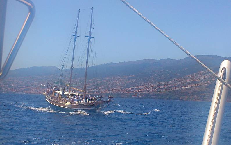 Imaculado Ilha da Madeira Funchal casa - 