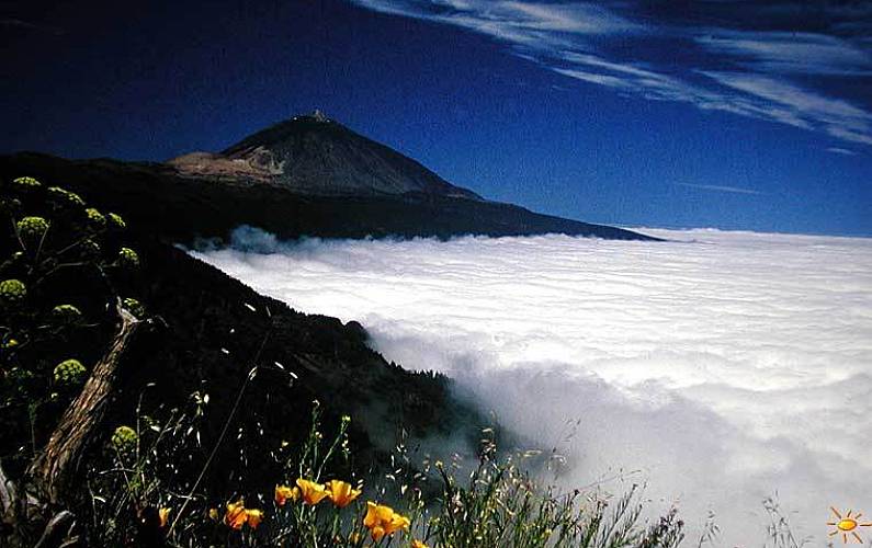 Apartamento Arredores Tenerife Arona Apartamento - Arredores