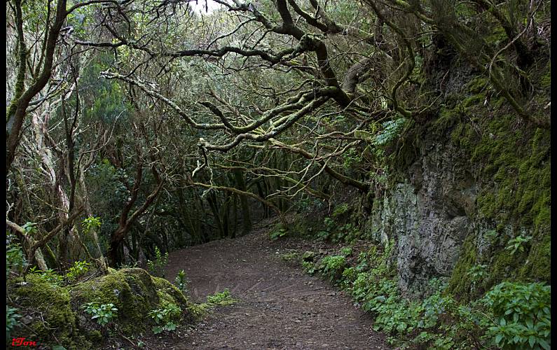 Apartamento Actividades próximas Tenerife San Cristóbal de La Laguna Apartamento - Actividades próximas