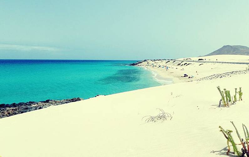 Casa Arredores Forteventura Antigua Apartamento - Arredores