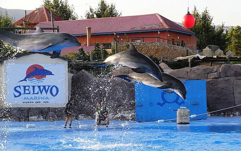 Vivenda Málaga Benalmádena vivenda - 