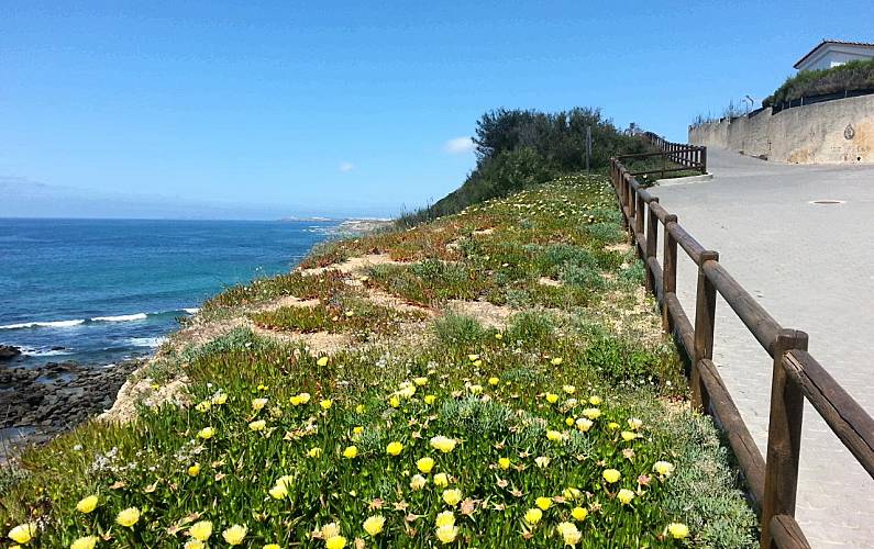 Casa Vistas da casa Leiria Peniche vivenda - Vistas da casa