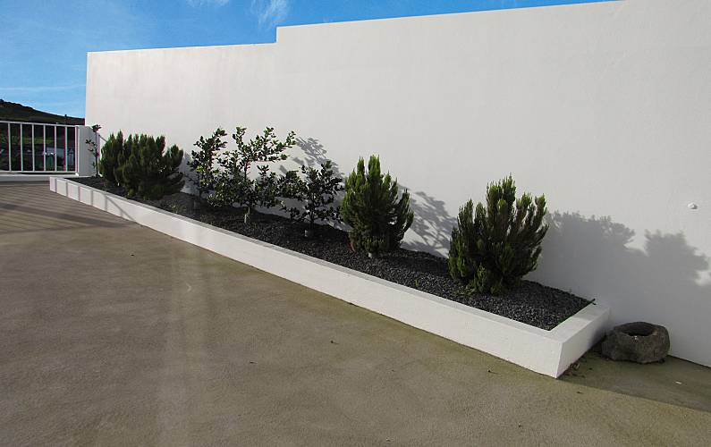 Casa Terraço Ilha de São Miguel Nordeste Casa rural - Terraço