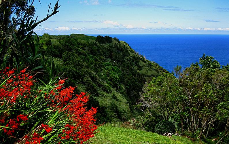 Casa Ilha de São Miguel Nordeste Casa rural - 