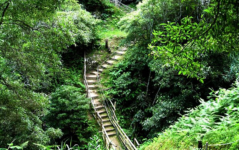 Casa Ilha de São Miguel Nordeste Casa rural - 