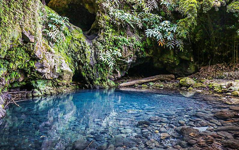 Casa Ilha de São Miguel Nordeste Casa rural - 