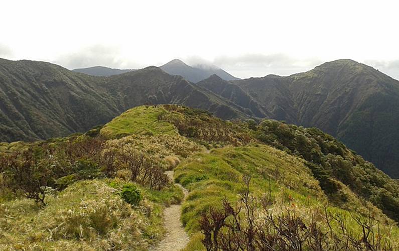 Casa Ilha de São Miguel Nordeste Casa rural - 