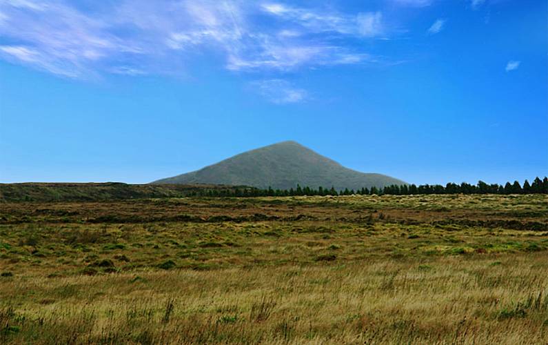 Casa Ilha de São Miguel Nordeste Casa rural - 