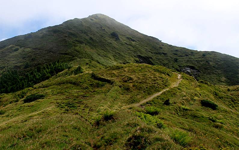 Casa Ilha de São Miguel Nordeste Casa rural - 