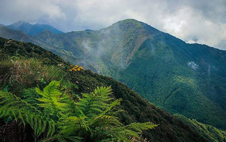 Casa Ilha de São Miguel Nordeste Casa rural - 