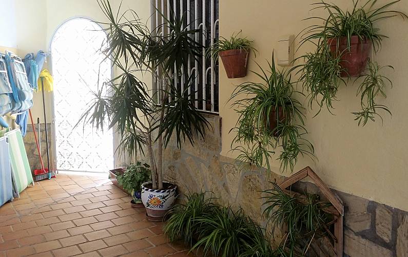 Casa Terraço Málaga Nerja casa - Terraço